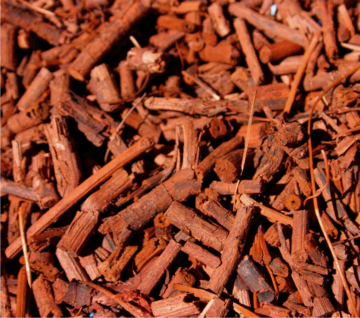 Madder - One of the Oldest Dye Stuff Known